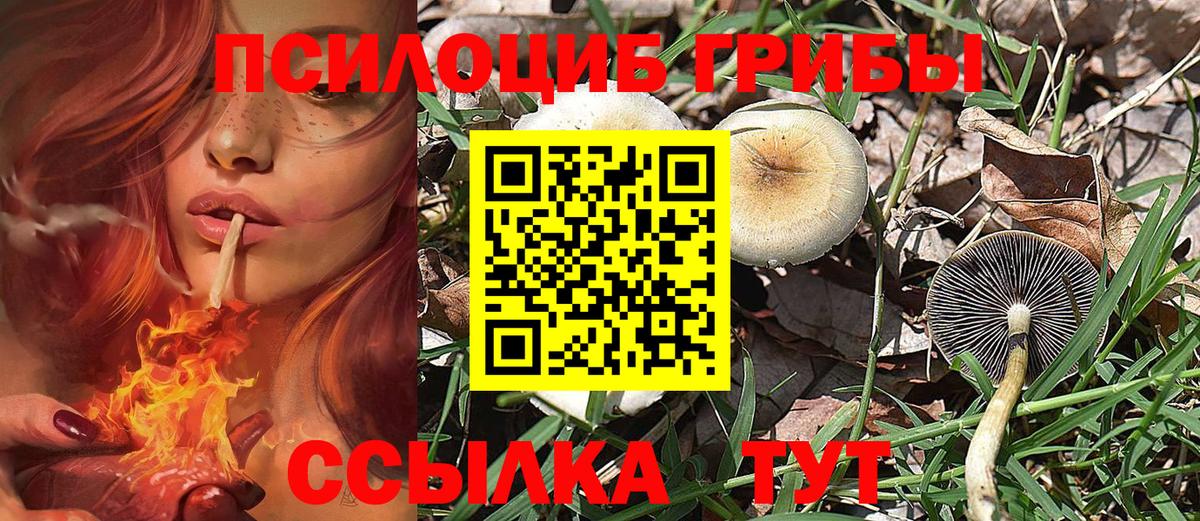 Галлюциногенные грибы мухоморы  Вход с VPN  Краснознаменск 